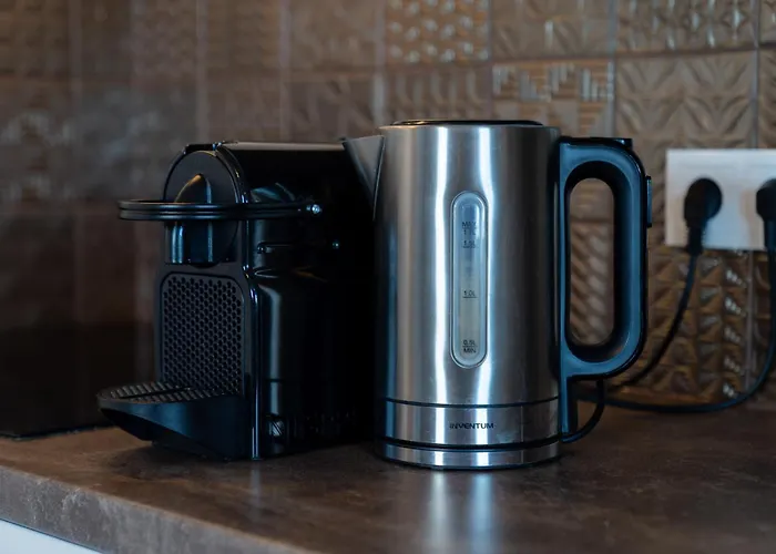 Stylish-loft Near Center And Park Apartment Roosendaal